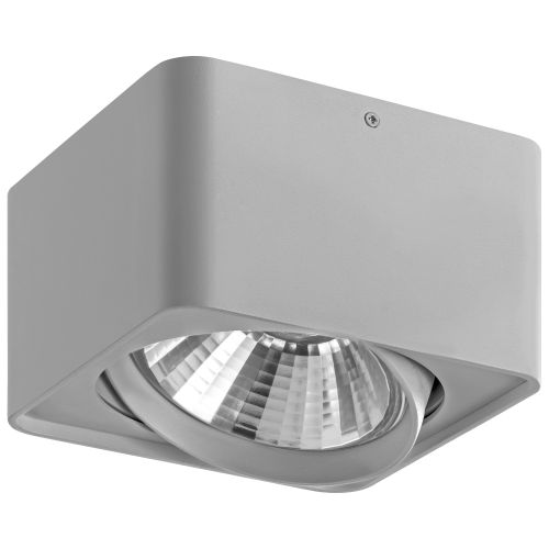 Светильник точечный накладной декоративный под заменяемые галогенные или LED лампы Monocco 212619