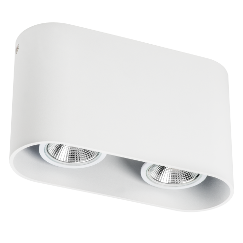 Светильник точечный накладной под заменяемые галогенные или LED лампы Rullo 214866