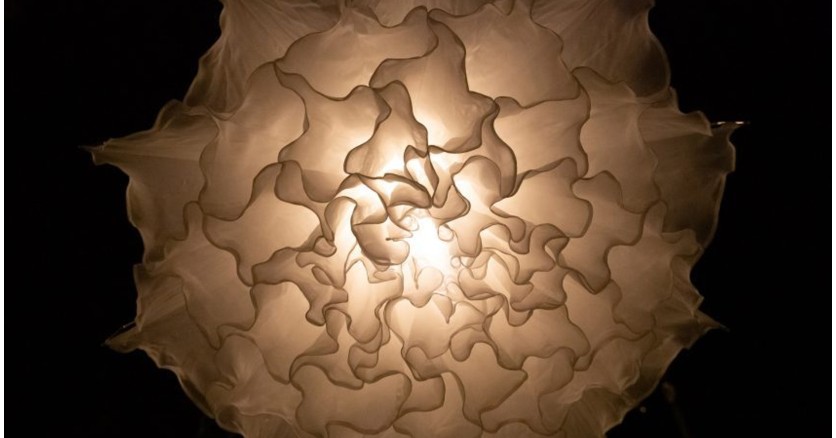 Shylight: цветочные светильники в деревянном лесу 