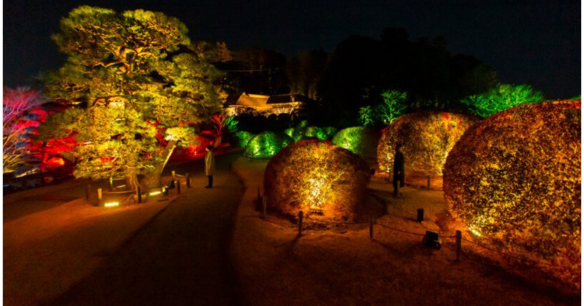 Оживший свет: инсталляция в японском саду Кайраку-эн