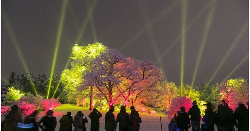 Electric Illumination: световое шоу в честь юбилея чикагского дендрария