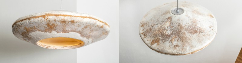 Живой светильник из грибов на выставке Нидерландах