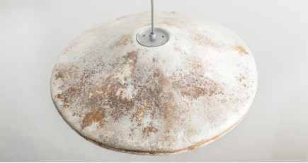 Живой светильник из грибов на выставке Нидерландах
