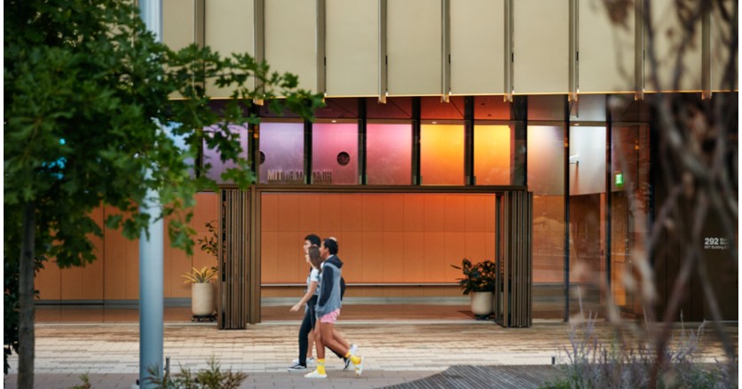 На стыке науки и творчества: световая инсталляция в Кембридже На стыке науки и творчества: световая инсталляция в Кембридже