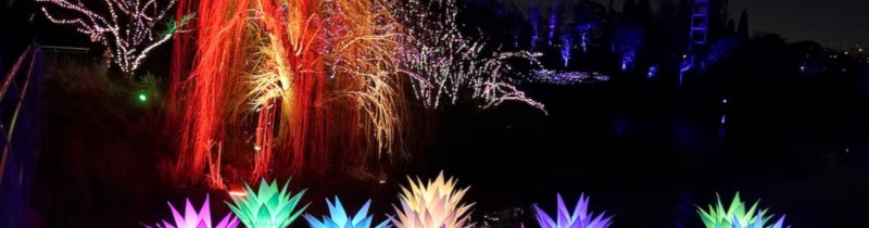 «Lightscape» в чикагском ботаническом саду зажигает тысячи огней