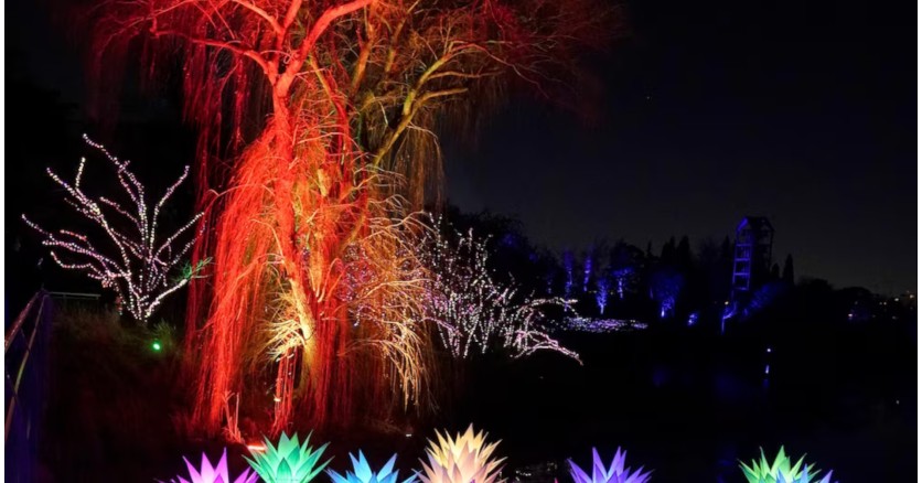 «Lightscape» в чикагском ботаническом саду зажигает тысячи огней «Lightscape» в чикагском ботаническом саду зажигает тысячи огней