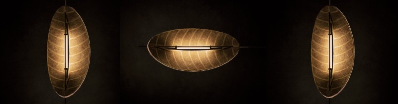 Лампы-светлячки из грибного мицелия