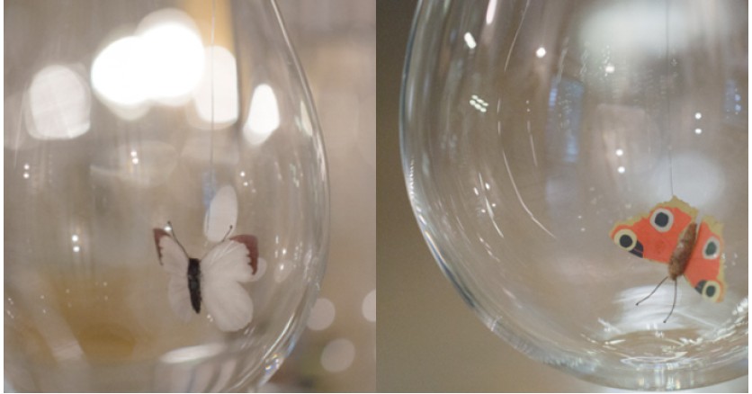 Световая инсталляция с насекомыми внутри