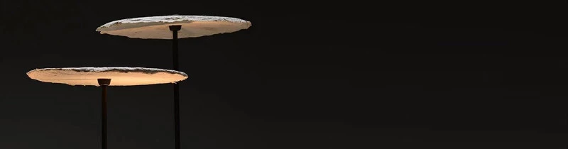 Mycelium lights: дизайнеры вырастили светильники из грибов