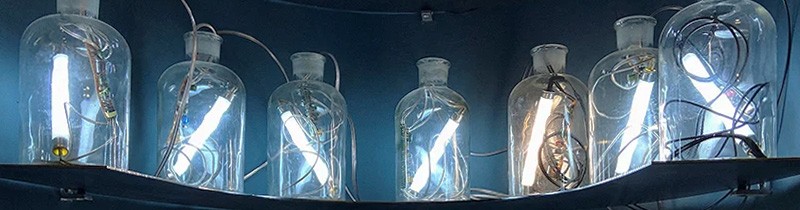 Светильники в склянках: инсталляция в институте Гете