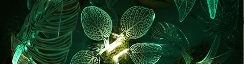Стеклянные растения из света представила дизайнер из Сан-Франциско