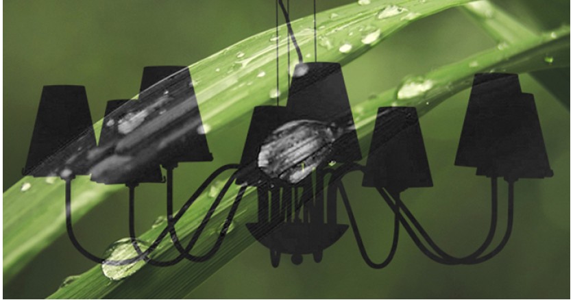 Голландка заставила светильник работать от энергии цветка