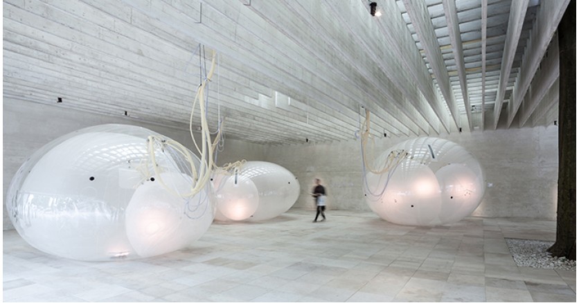 Световые экспонаты &ldquo;дышат&rdquo; и реагируют на состав воздуха
