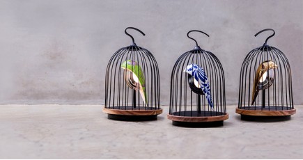 Как птица в клетке: музыкальный светильник JinGoo