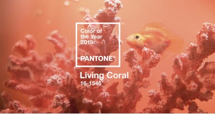 Институт цвета Pantone назвал цвет 2019 года