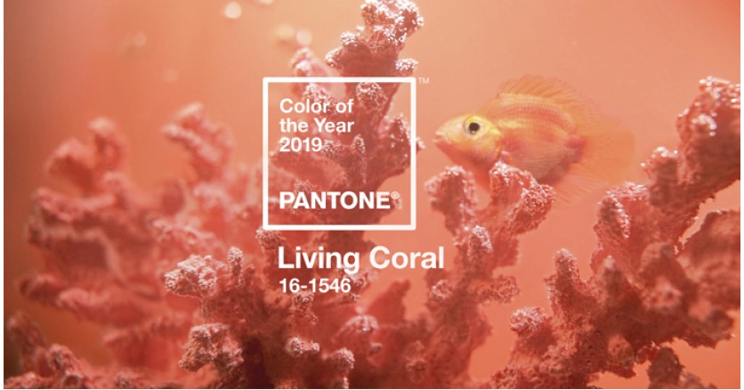 Институт цвета Pantone назвал цвет 2019 года