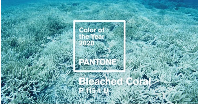 Цветом 2020 года станет оттенок мертвых кораллов?