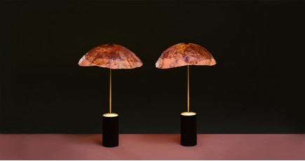 Лампы из капусты от индийского дизайнера
