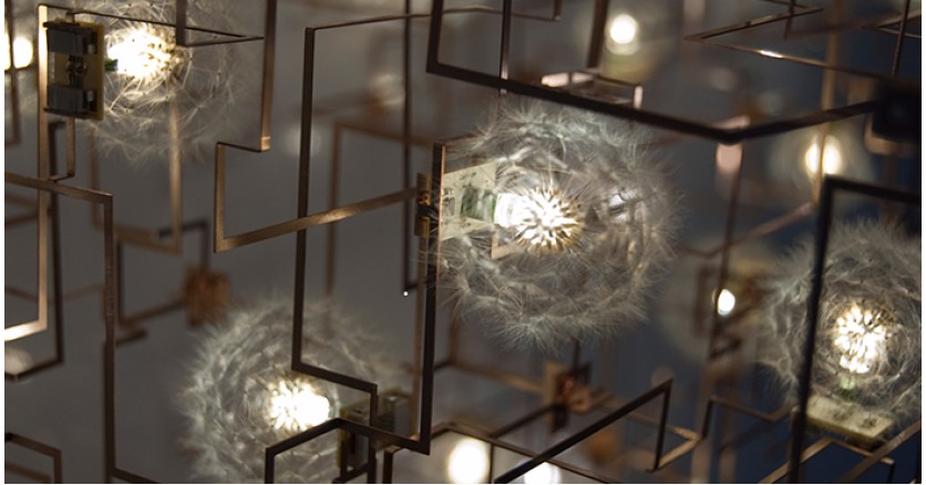 Живой свет на выставке голландских художников Живой свет на выставке голландских художников