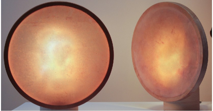 Как бактерии помогают создавать светильники?