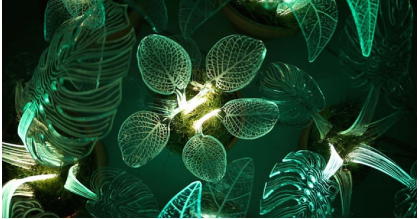 Стеклянные растения из света представила дизайнер из Сан-Франциско