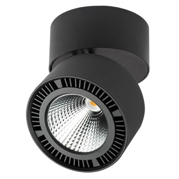Светильник накладной заливающего света со встроенными светодиодами Forte Muro 213857