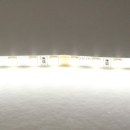 Лента холодного белого свечения 24V Lightstar 420505