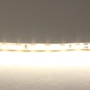 Лента  нейтрального белого свечения 24V Lightstar 420504