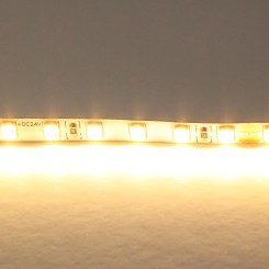 Лента теплого белого свечения 24V Lightstar 420503