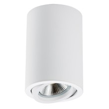 Светильник точечный накладной декоративный под заменяемые галогенные или LED лампы 214406