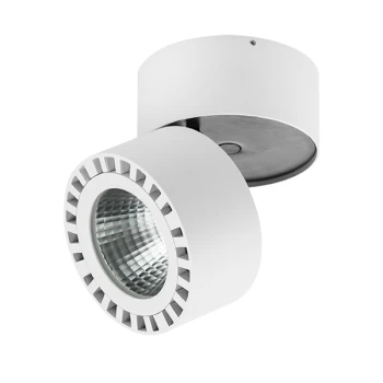 Светильник накладной заливающего света со встроенными светодиодами Forte IP65 381363