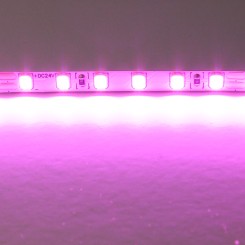 Лента цветного свечения 24V, розовый Lightstar 420512