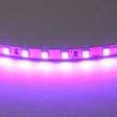 Лента цветного свечения 24V, фиолетовый 420518