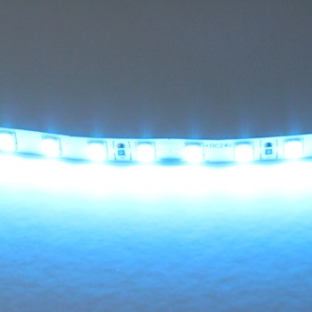 Лента цветного свечения 24V, голубой Lightstar 420516