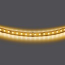 Лента двухсторонняя 24V Lightstar 420843